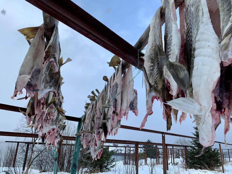 مبيت وإفطار Digermulen Risvaer Brygger المظهر الخارجي الصورة