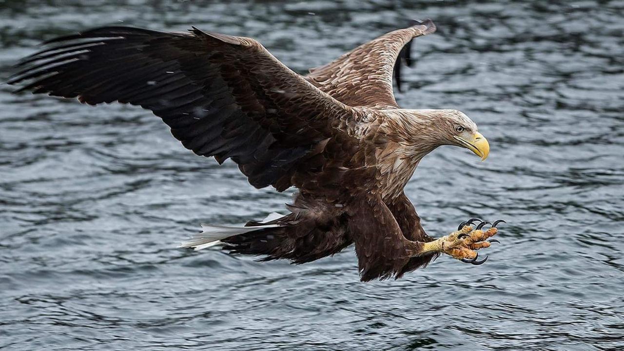 مبيت وإفطار Digermulen Risvaer Brygger المظهر الخارجي الصورة